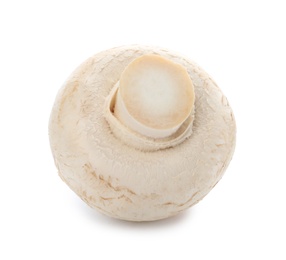 Fresh raw champignon mushroom on white background