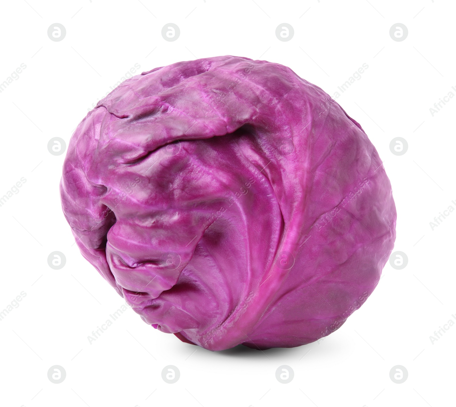 Photo of One whole red cabbage isolated on white