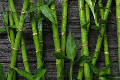 Photo of Green bamboo stems on black wooden background, top view