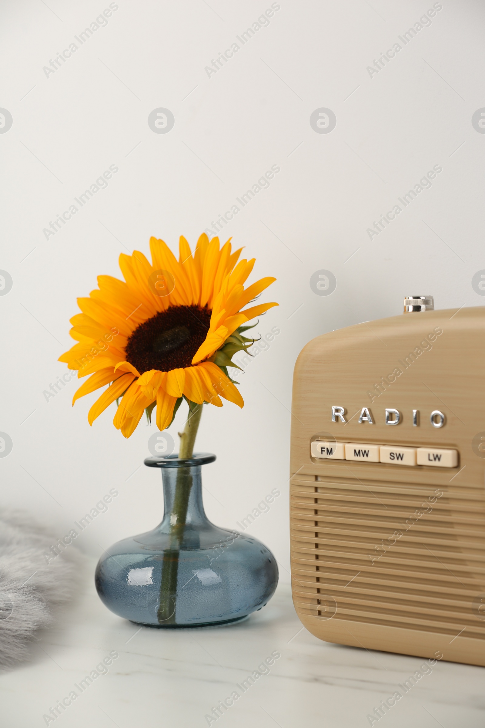 Photo of Vase with beautiful sunflower and radio on white marble table