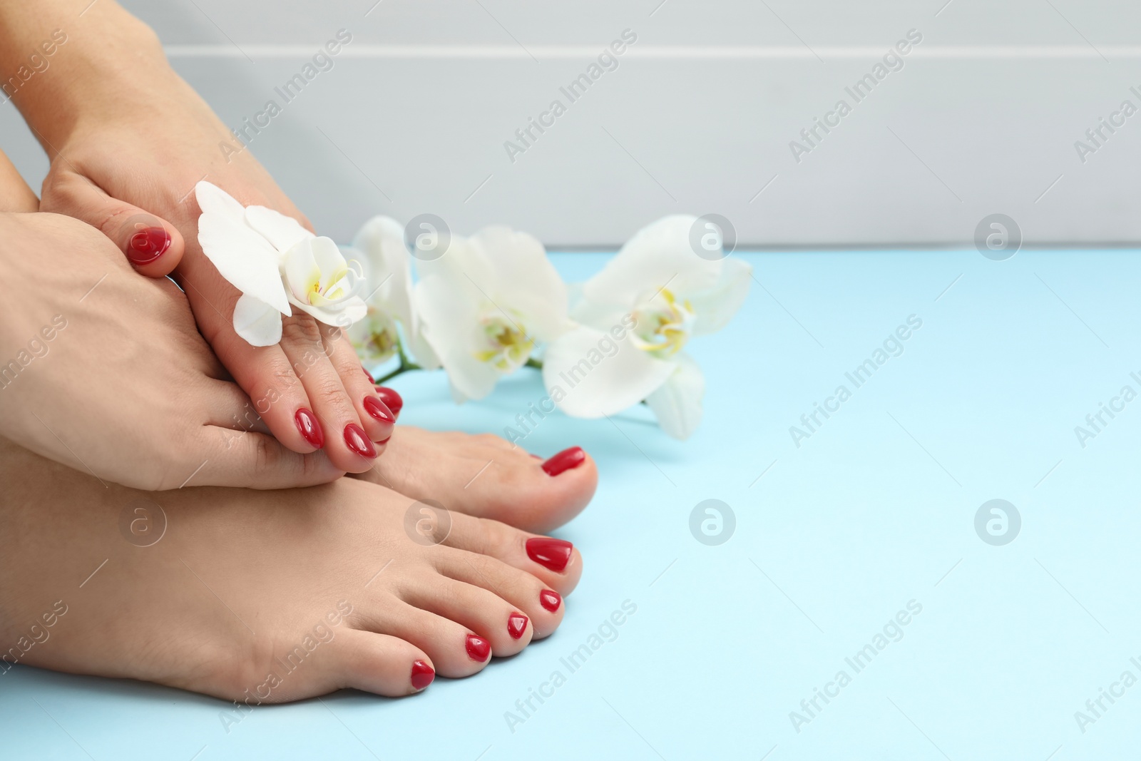 Photo of Woman with stylish red toenails after pedicure procedure and orchid flowers on light blue background, closeup. Space for text