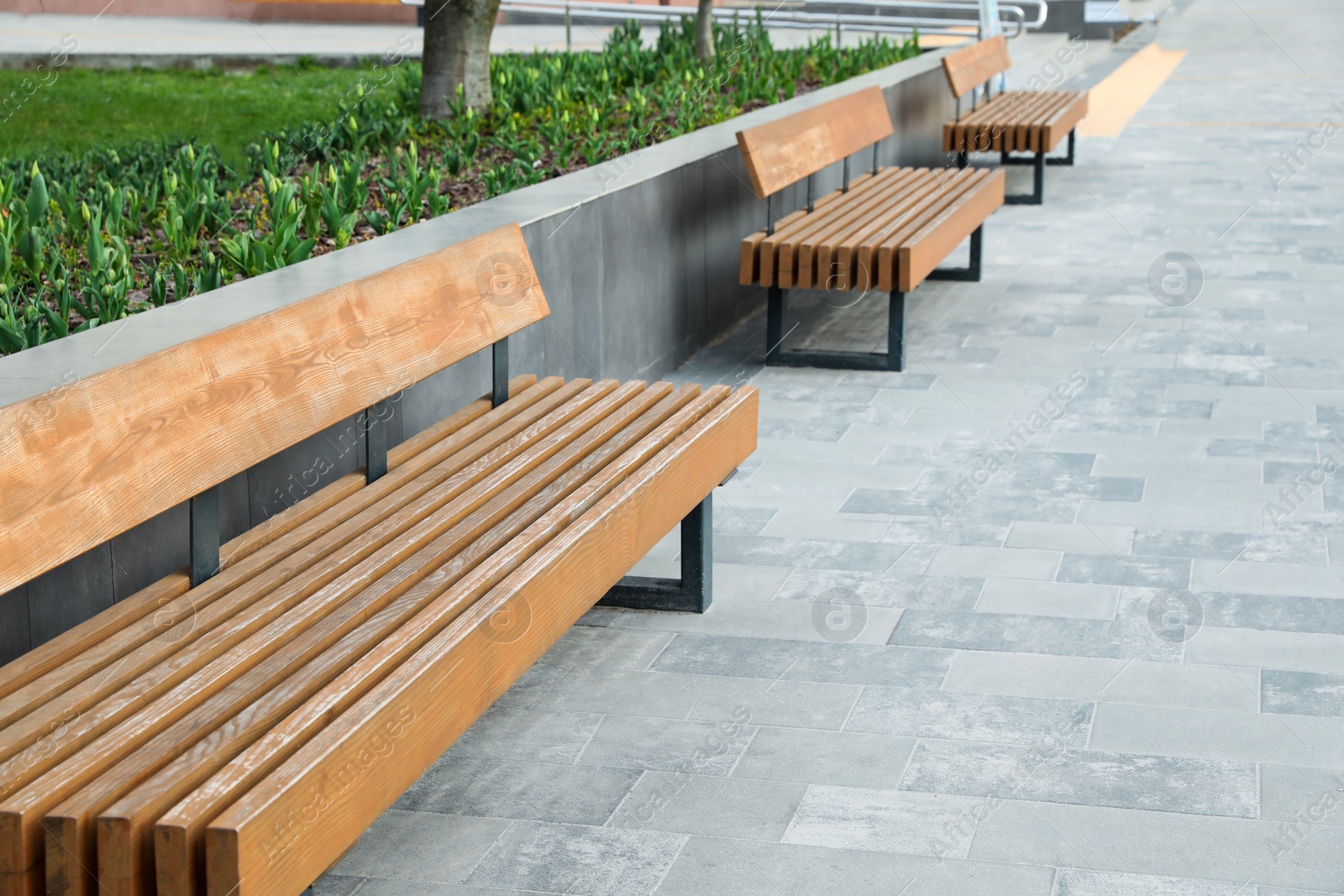 Photo of Paved city street with comfortable wooden benches