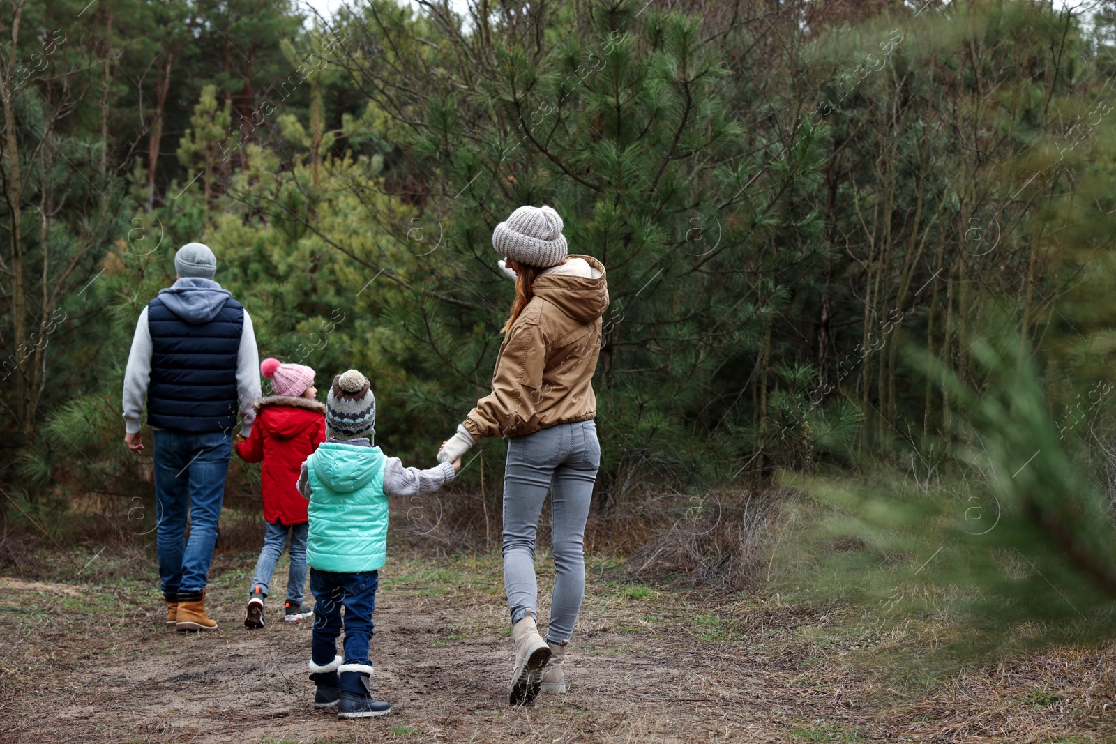 Photo of Happy family spending time together in forest, back view
