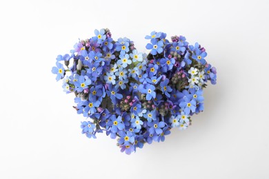 Photo of Heart of beautiful blue forget-me-not flowers isolated on white, top view