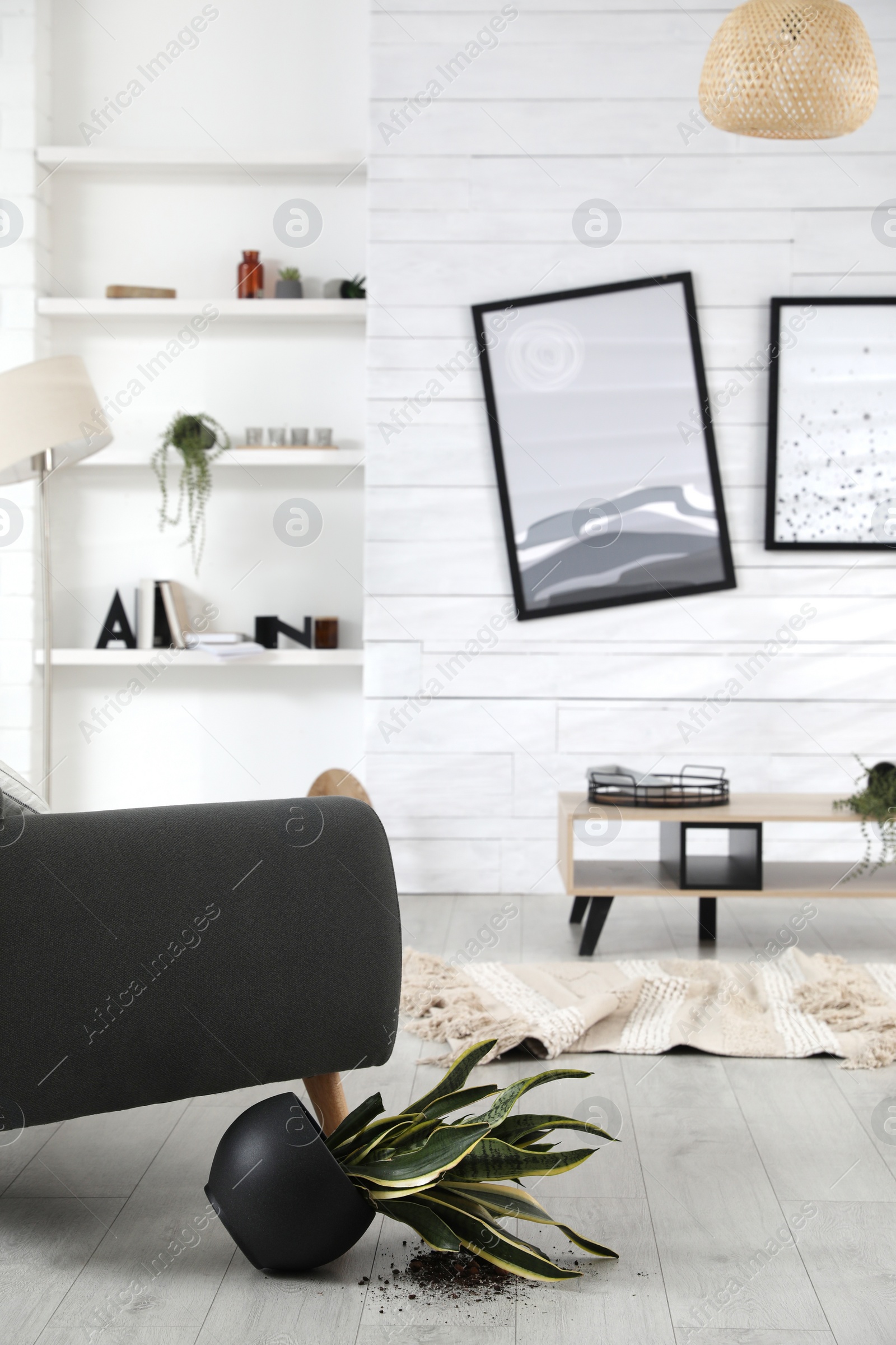 Photo of Chaotic living room interior after strong earthquake