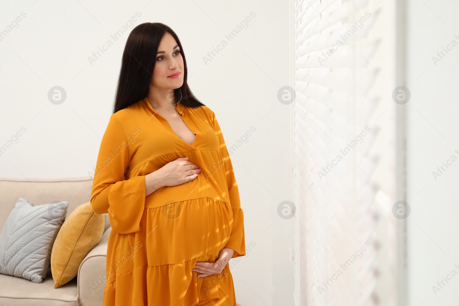 Photo of Beautiful pregnant woman near window at home. Space for text