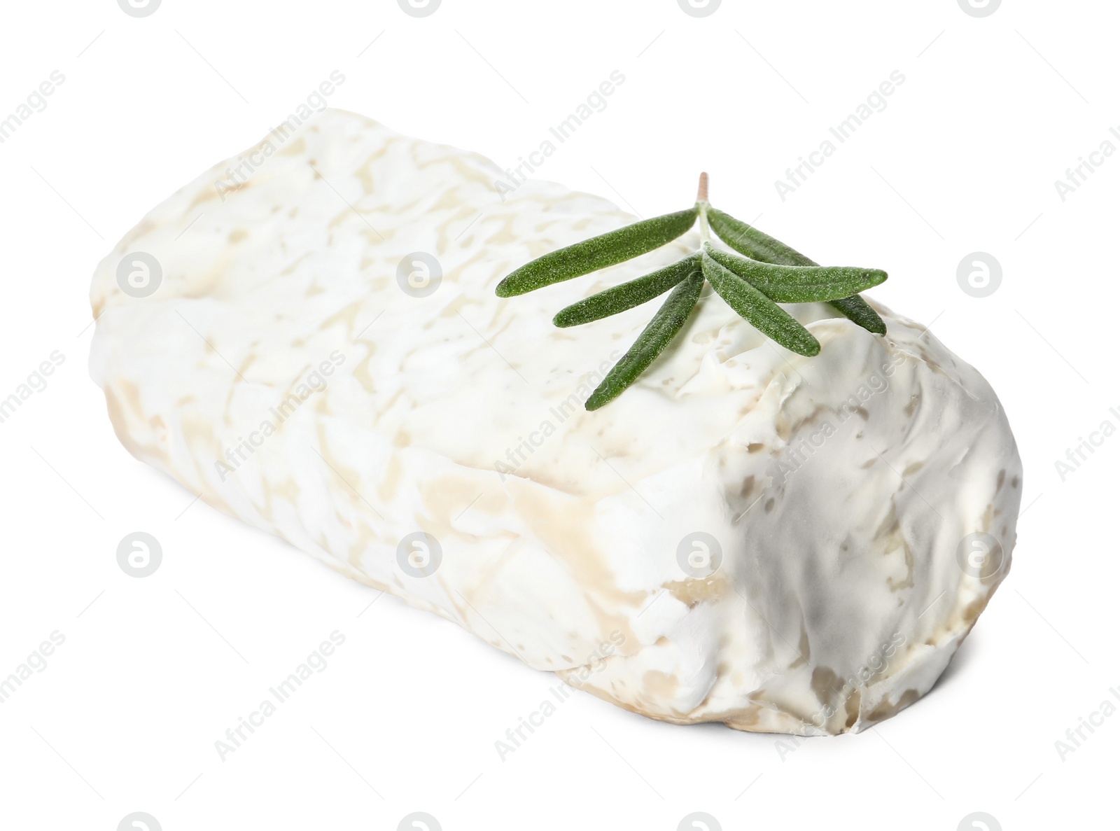 Photo of Delicious fresh goat cheese with rosemary on white background