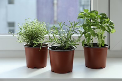Photo of Different fresh potted herbs on windowsill indoors