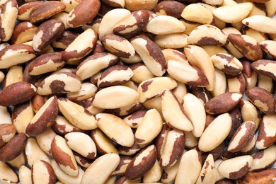 Photo of Many delicious Brazil nuts as background, top view