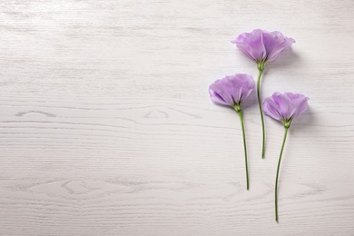 Flat lay composition with beautiful Eustoma flowers on light wooden background