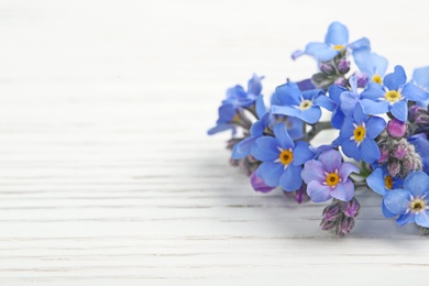 Photo of Amazing spring forget-me-not flowers on white wooden background. Space for text