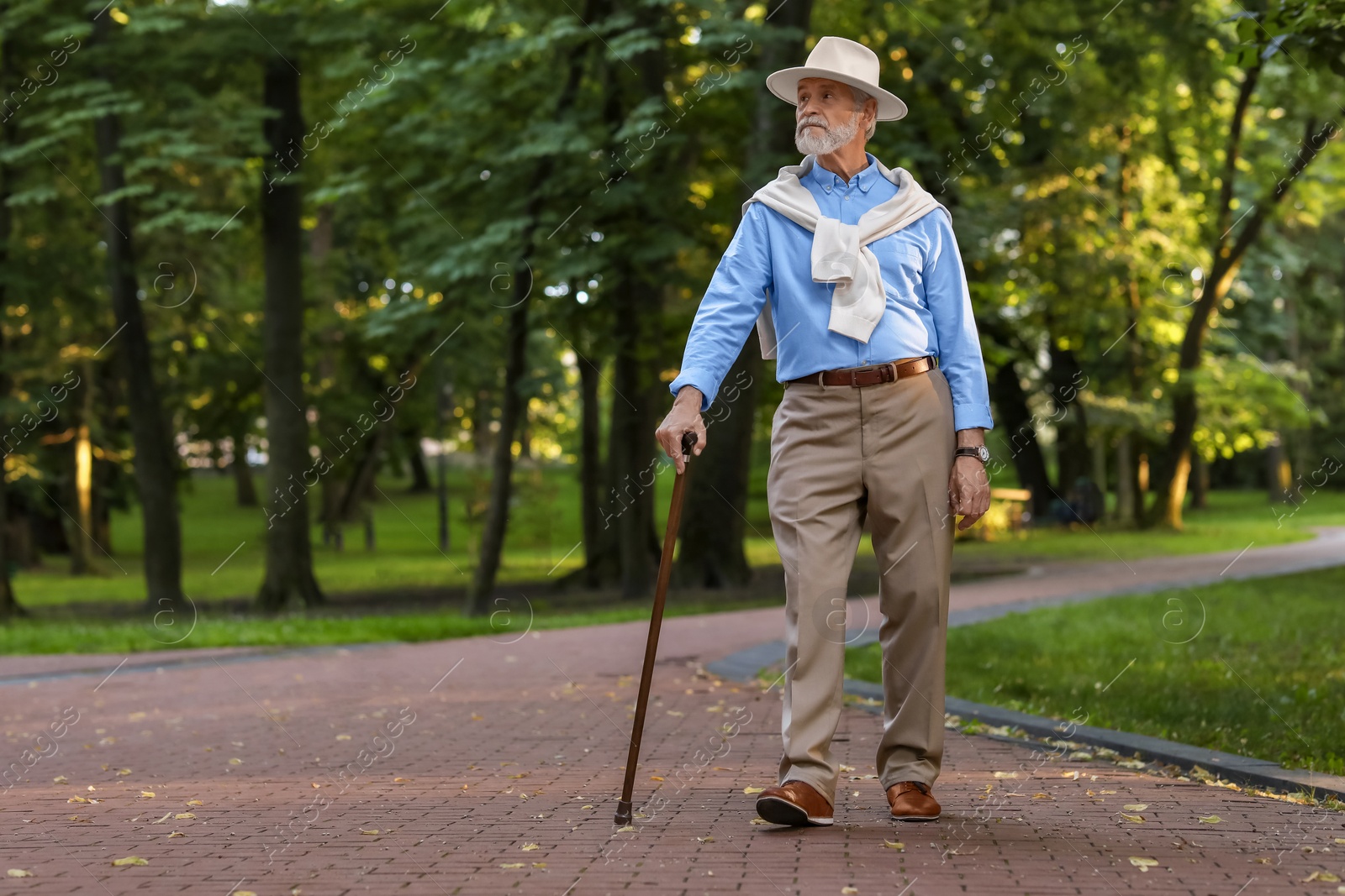 Photo of Senior man with walking cane in park. Space for text