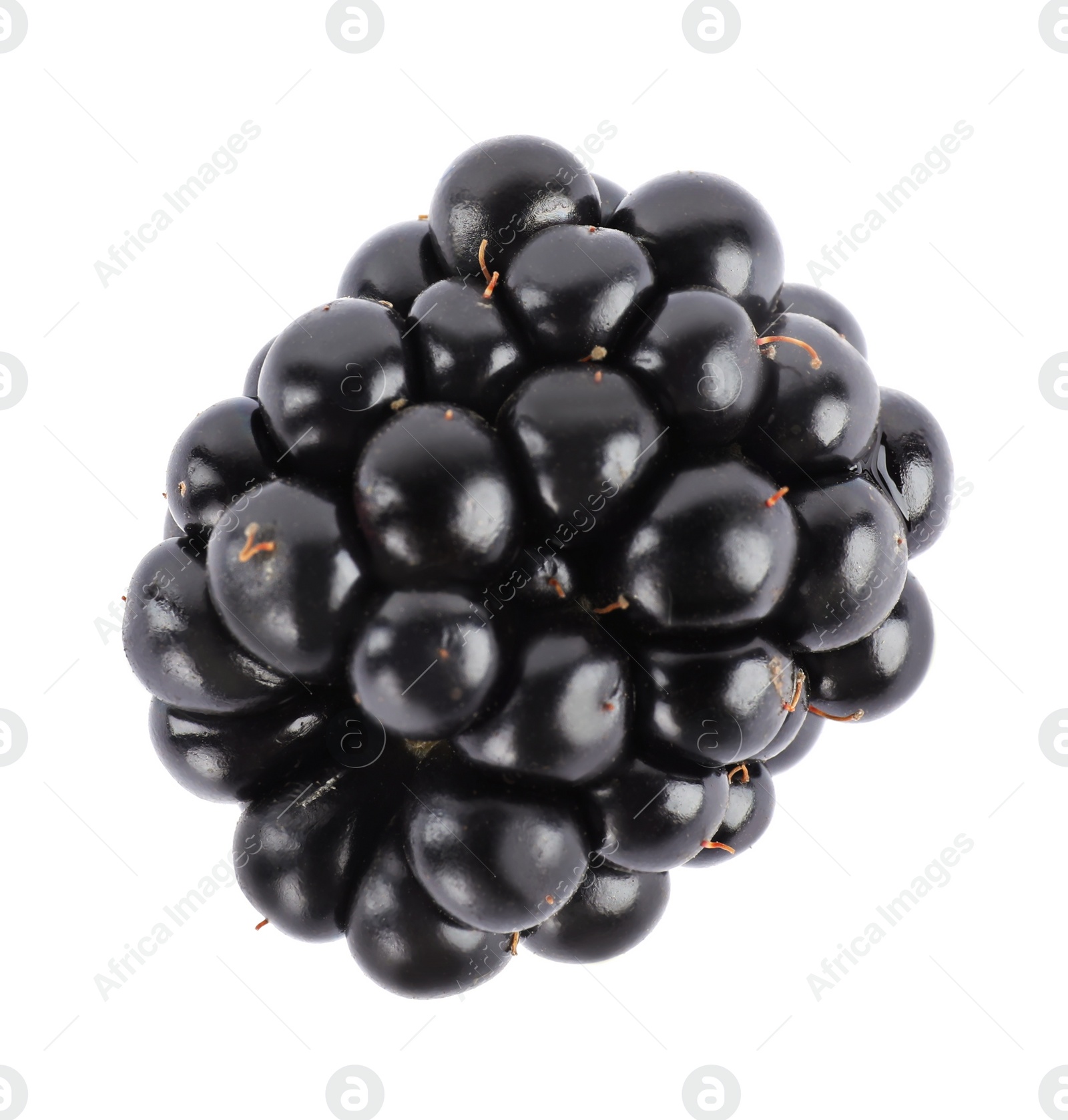 Photo of Beautiful tasty ripe blackberry on white background