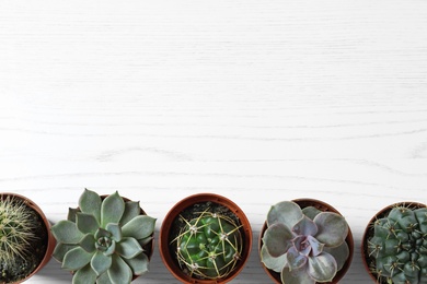 Flat lay composition with different succulent plants in pots on white wooden table, space for text. Home decor