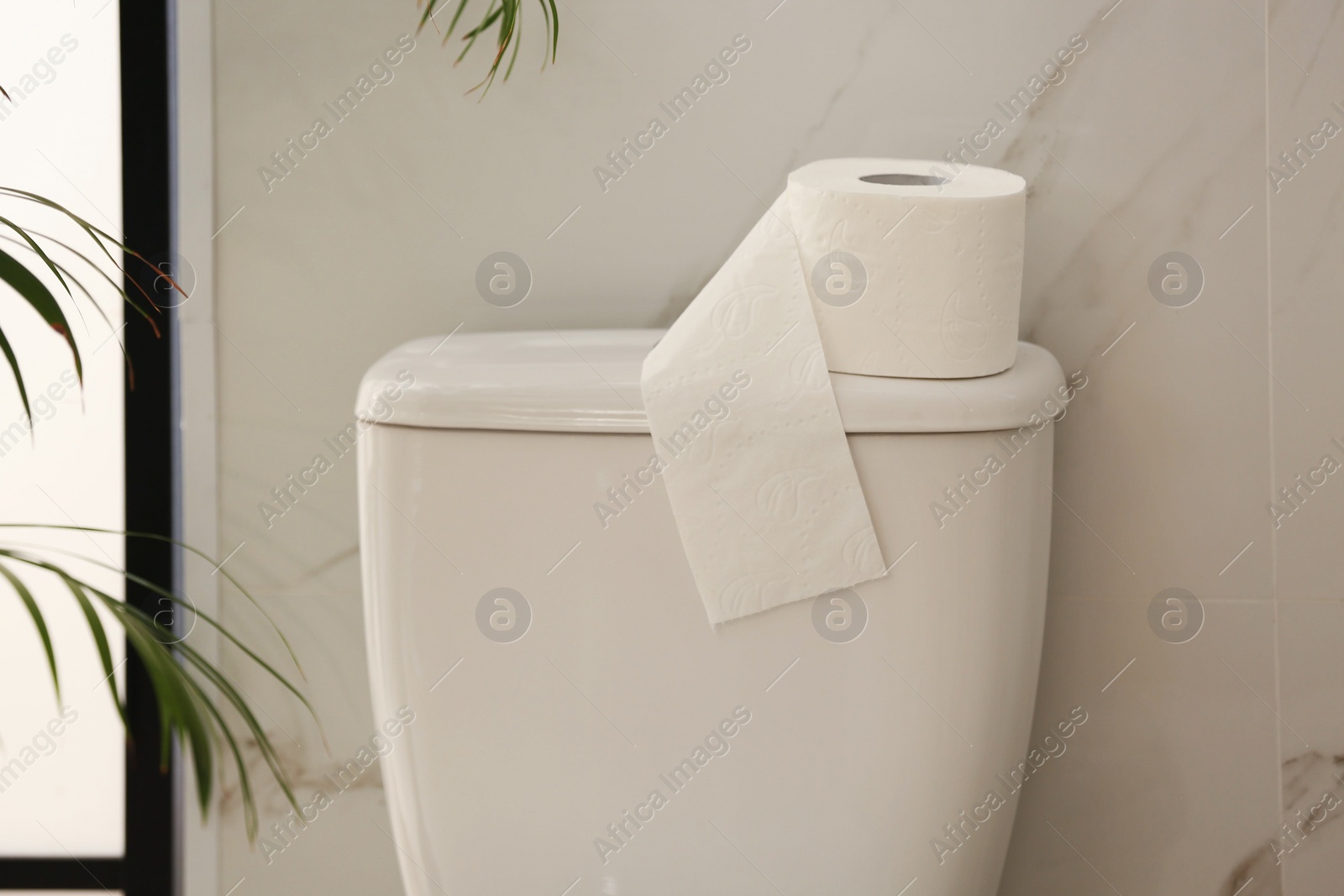 Photo of Modern toilet bowl with roll of paper in bathroom