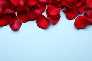 Photo of Beautiful red rose flower petals on light blue background, flat lay. Space for text