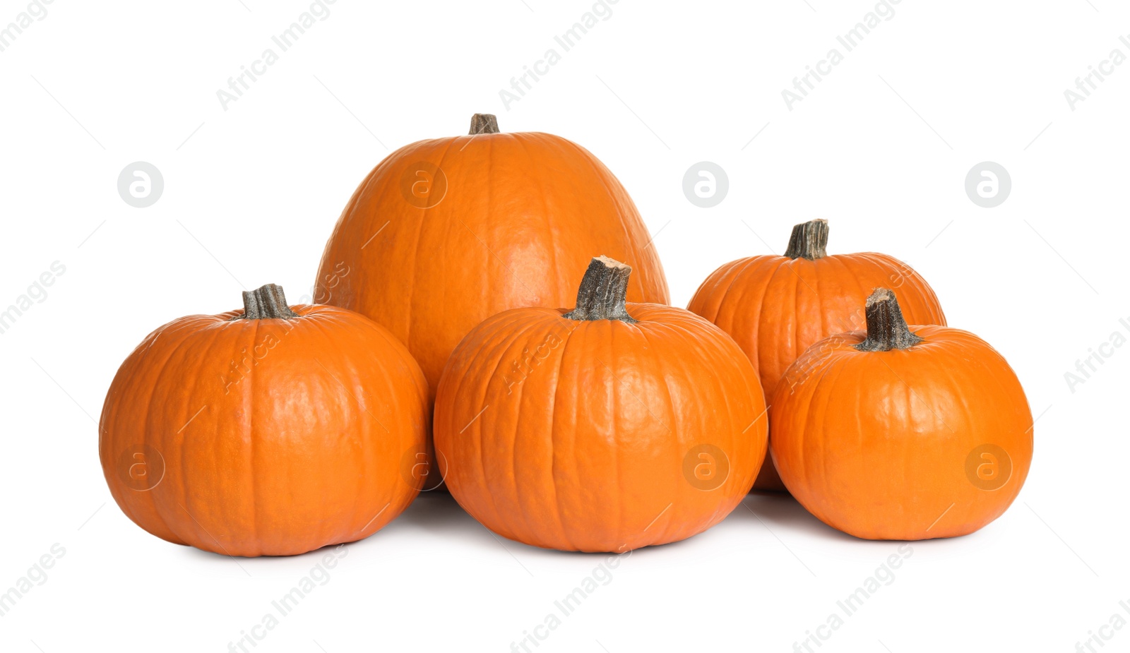 Photo of Fresh ripe pumpkins isolated on white. Organic plant