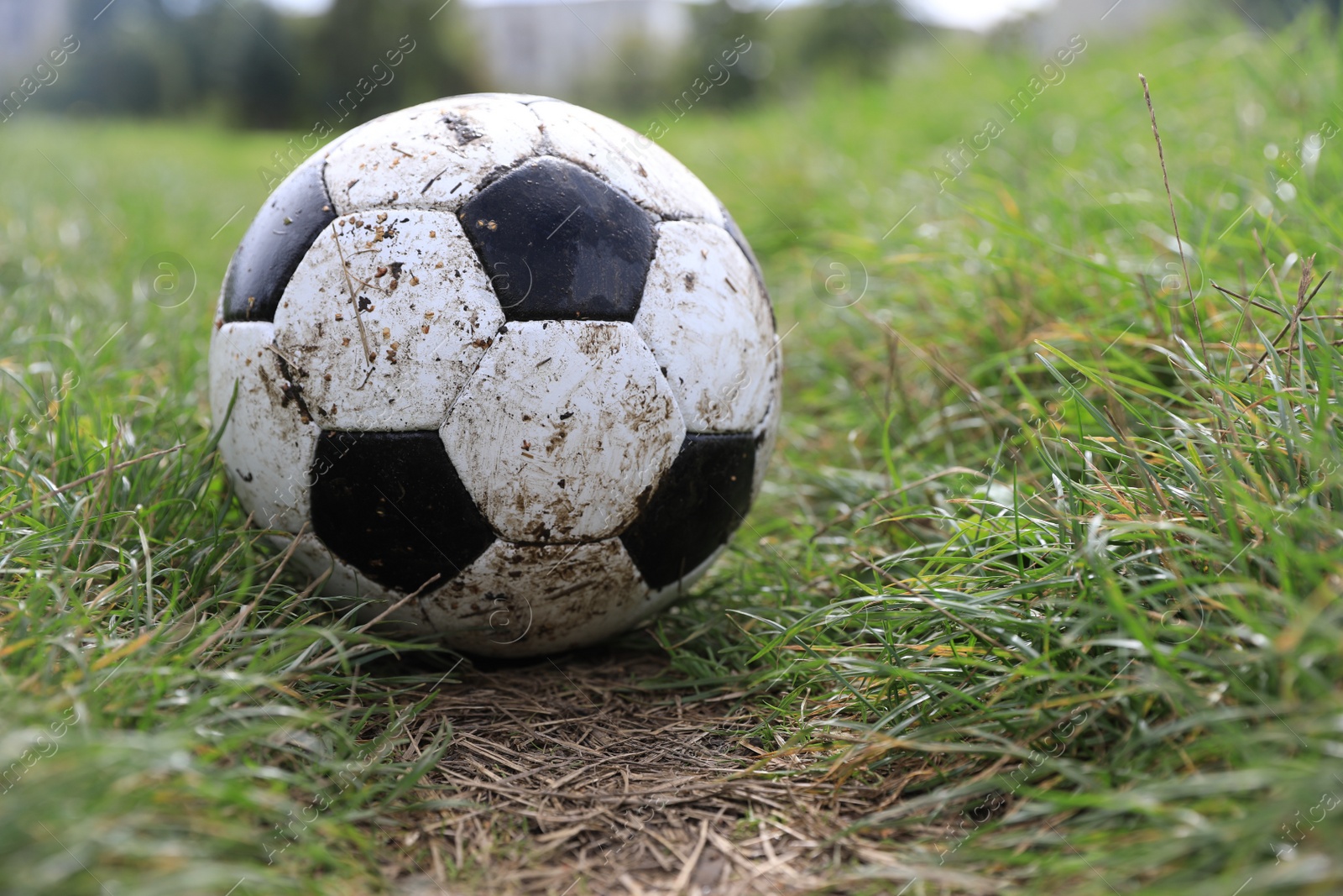 Photo of Dirty soccer ball on green grass outdoors, space for text