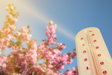 Image of Thermometer and blossoming spiraea shrub outdoors, low angle view. Temperature in spring