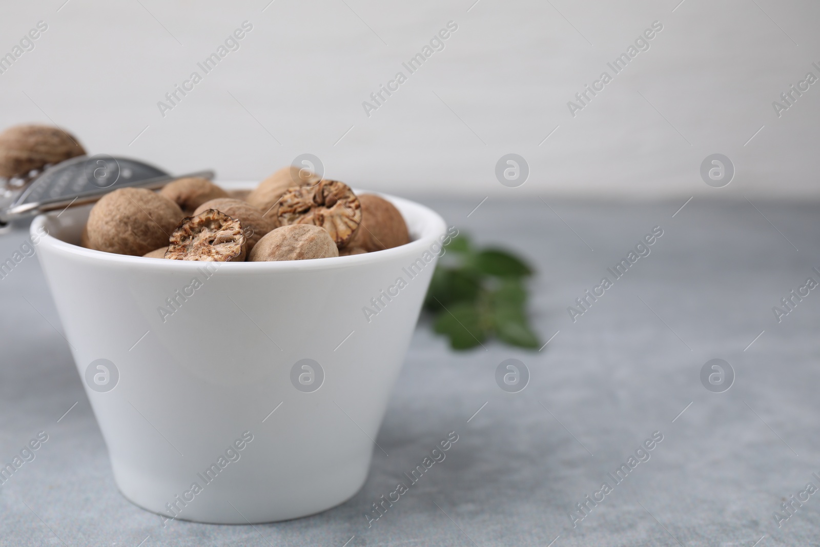 Photo of Nutmegs in bowl and grater on light grey table, closeup. Space for text