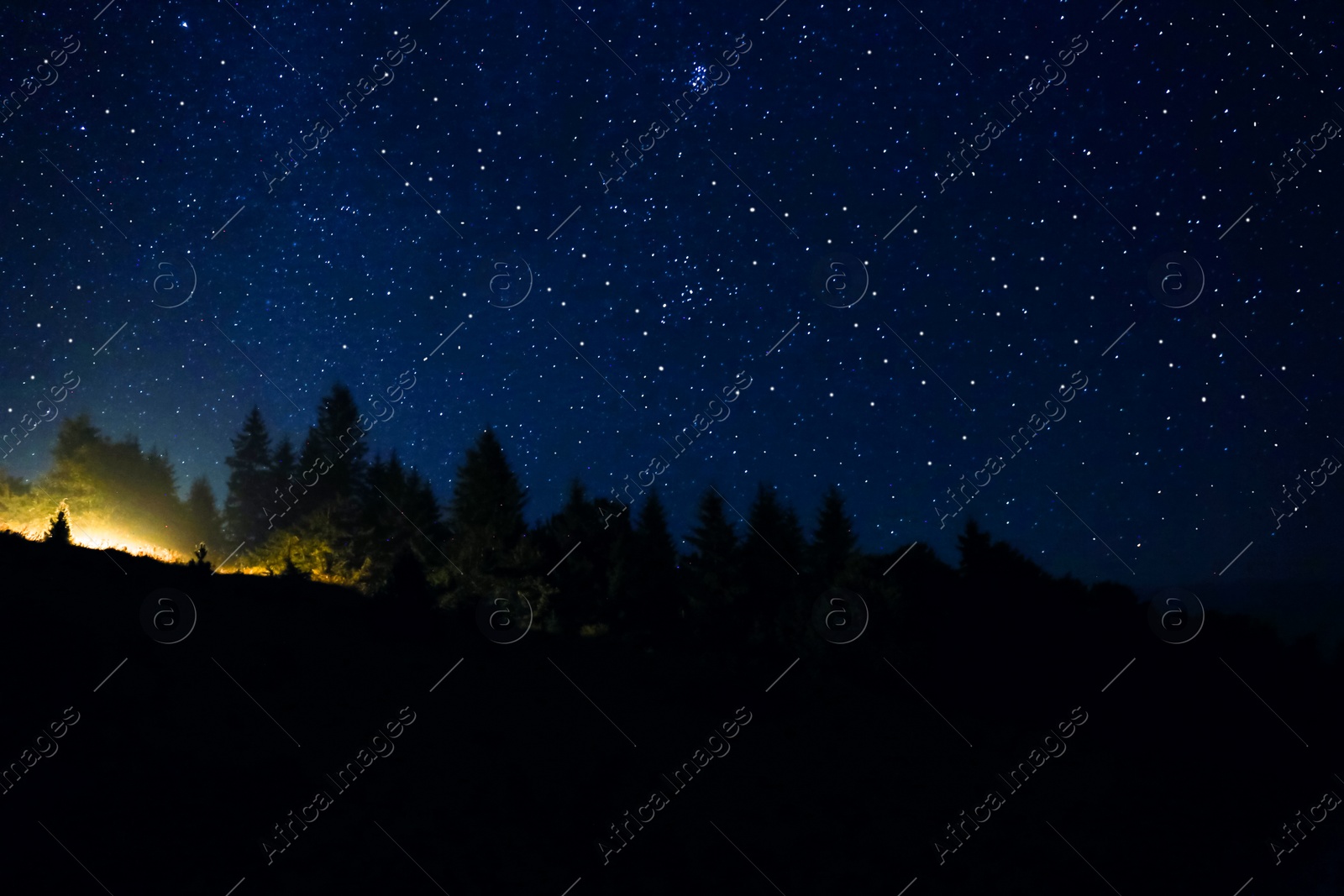 Image of Countless twinkling stars in night sky over forest