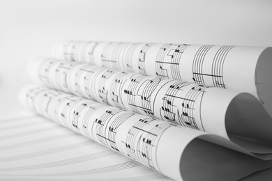 Photo of Rolled sheets with music notes on white background, closeup