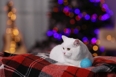 Photo of Christmas atmosphere. Adorable cat with bauble resting on blanket indoors. Space for text