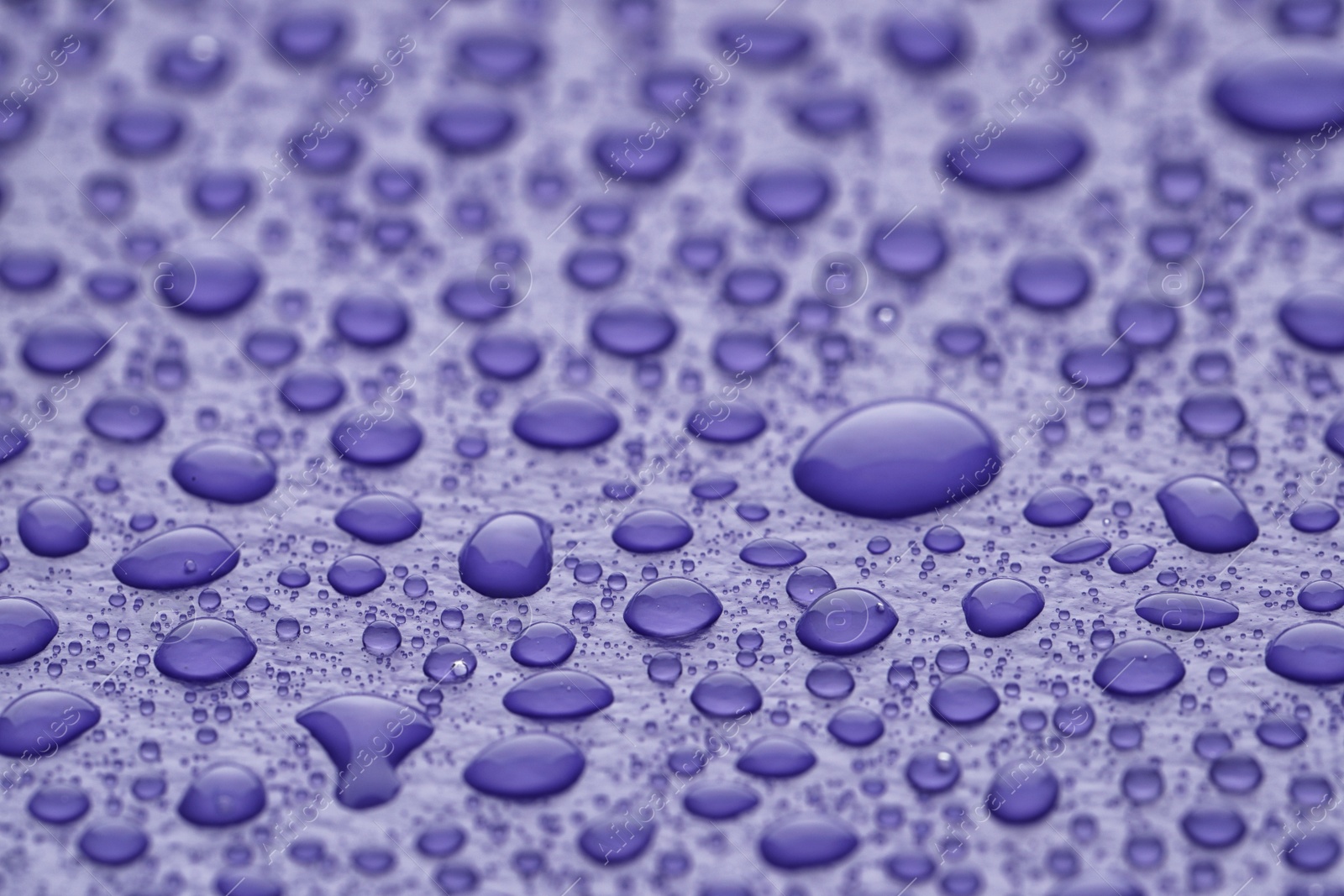 Photo of Water drops on lilac background, closeup view