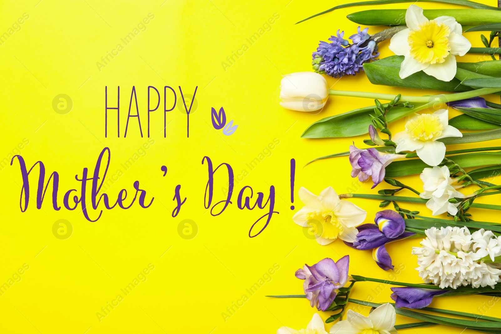 Image of Happy Mother's Day. Beautiful spring flowers on yellow background, flat lay 