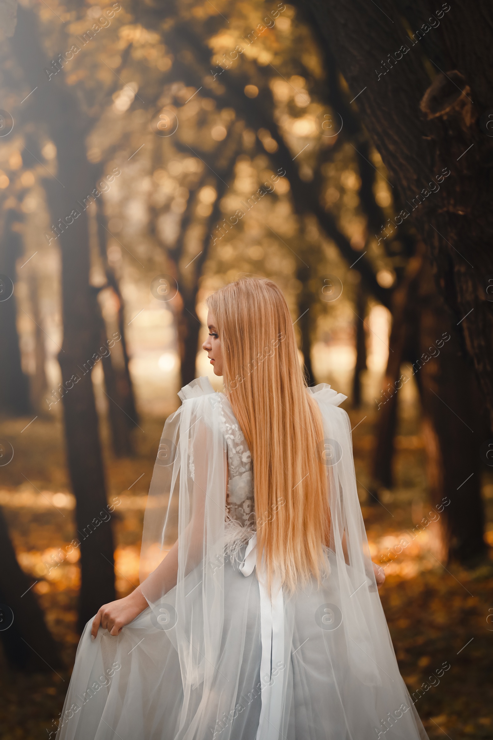 Photo of Beautiful girl wearing fairy dress in autumn forest, back view