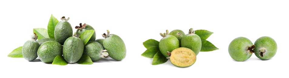 Set of fresh ripe feijoas on white background. Banner design