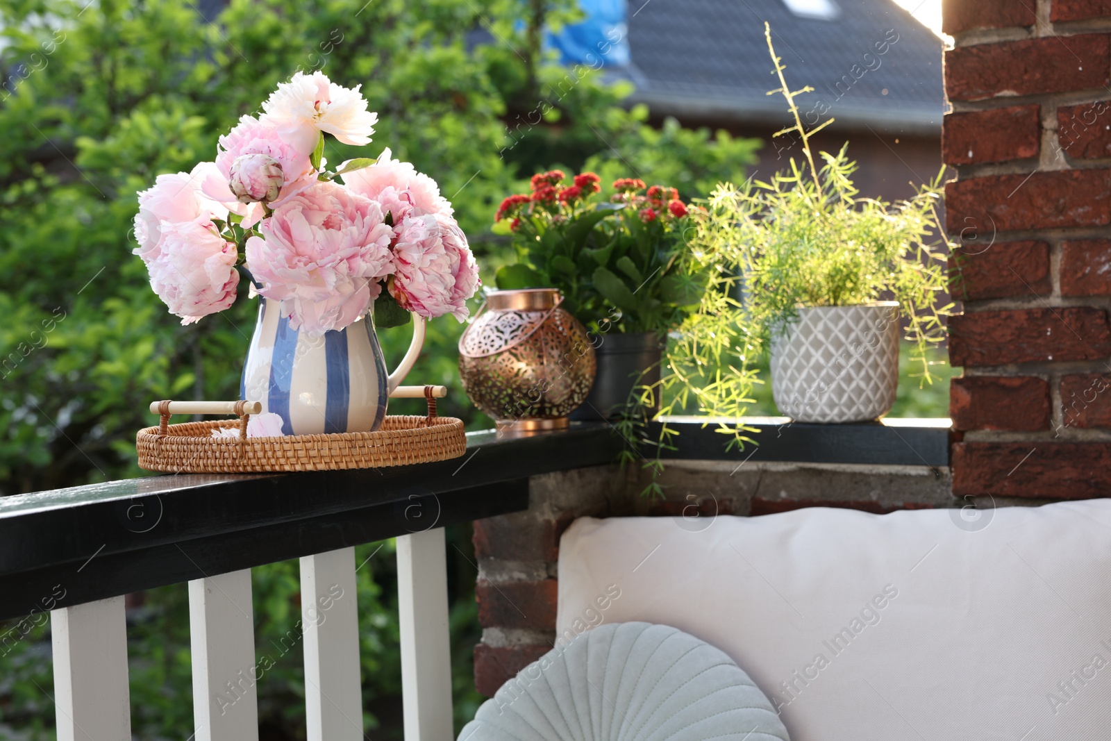 Photo of Balcony garden. Different plants on railings outdoors on sunny day