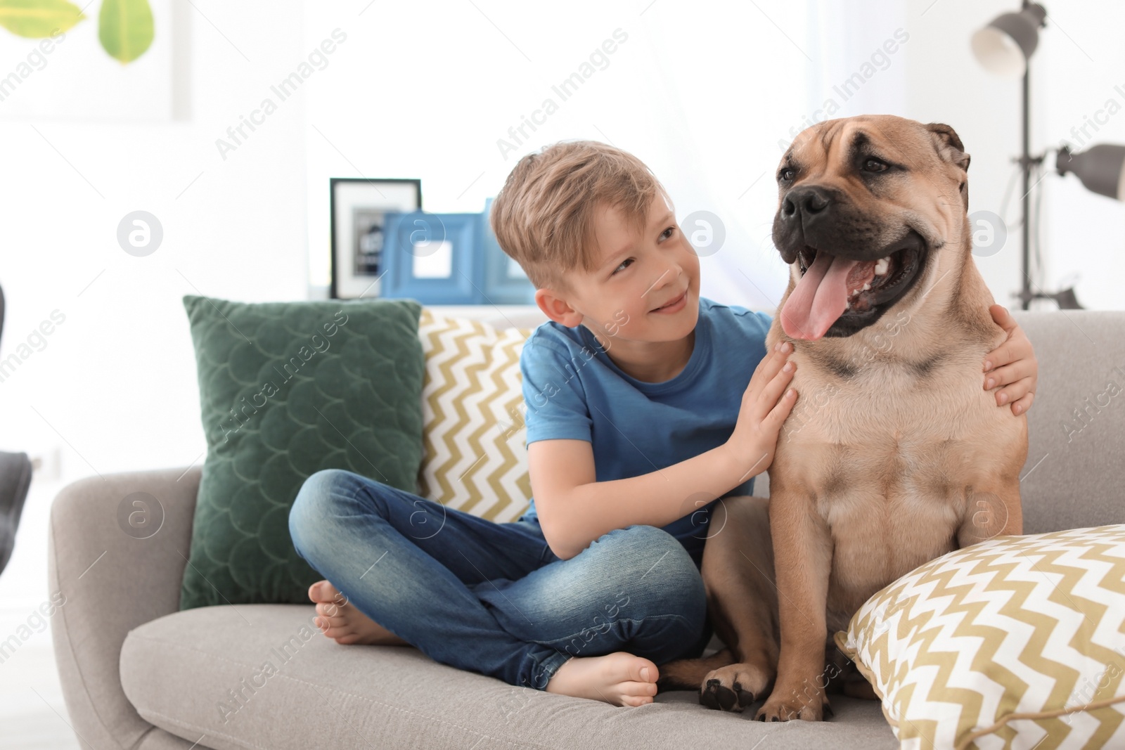 Photo of Cute little child with dog on couch at home