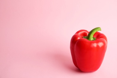 Raw ripe paprika pepper on color background