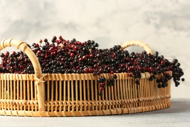 Photo of Ripe elderberries in wicker basket on light grey table, closeup