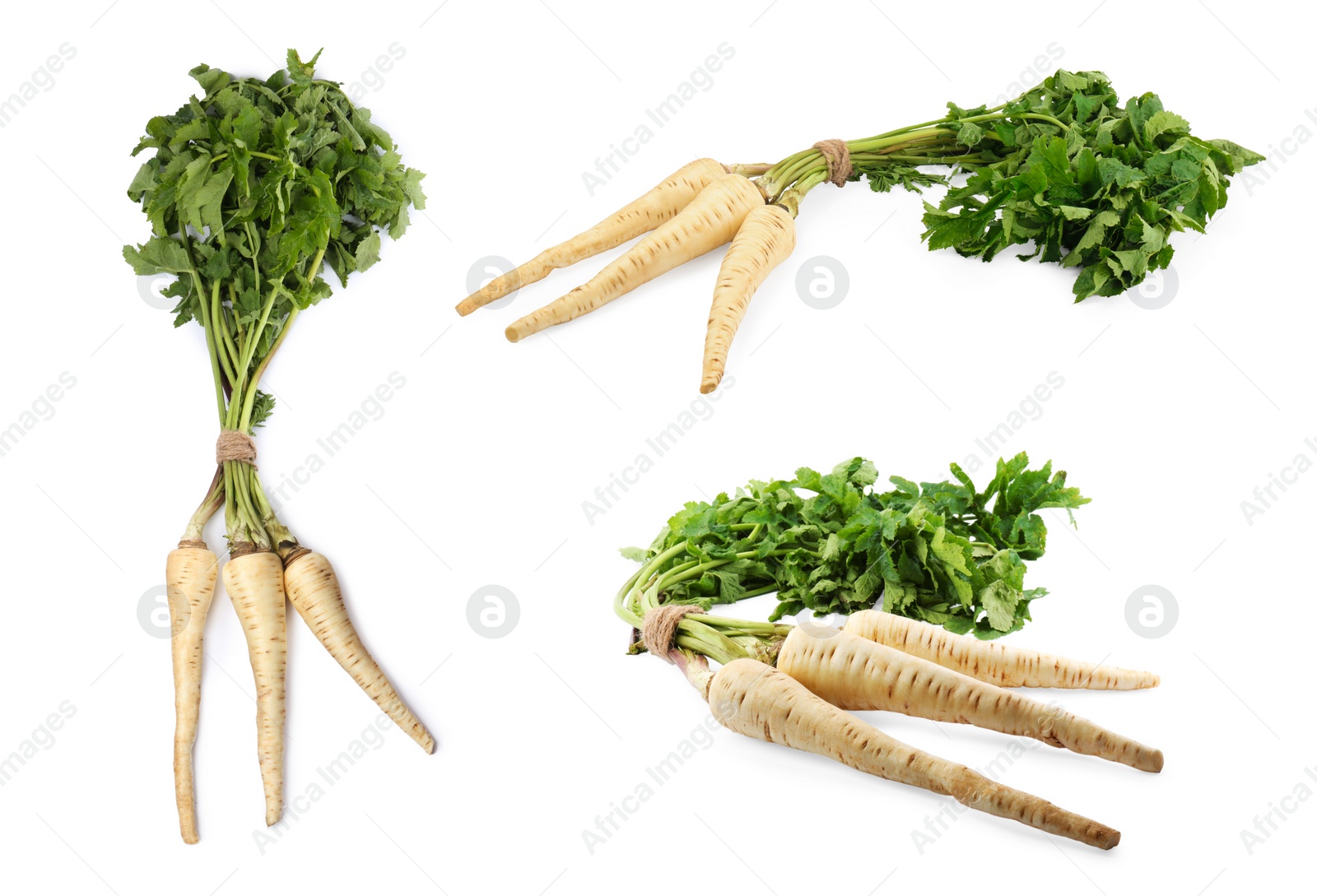 Image of Collage with fresh parsnips on white background