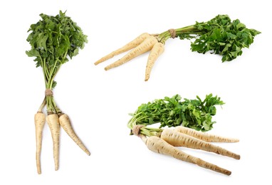 Image of Collage with fresh parsnips on white background