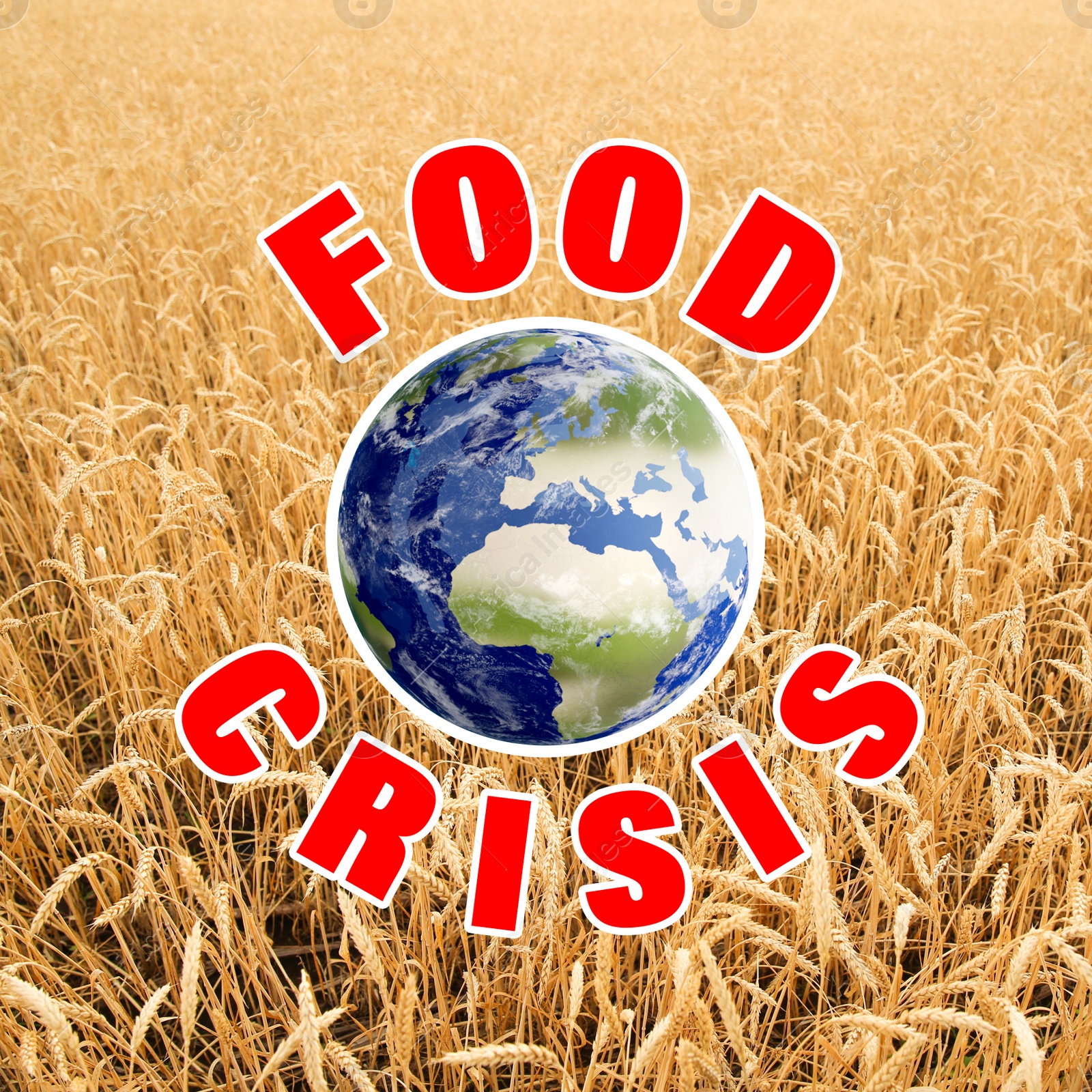 Image of Global food crisis concept. Wheat field and illustration of Earth