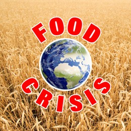 Image of Global food crisis concept. Wheat field and illustration of Earth