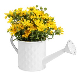Photo of Beautiful bouquet of yellow wildflowers in watering can isolated on white