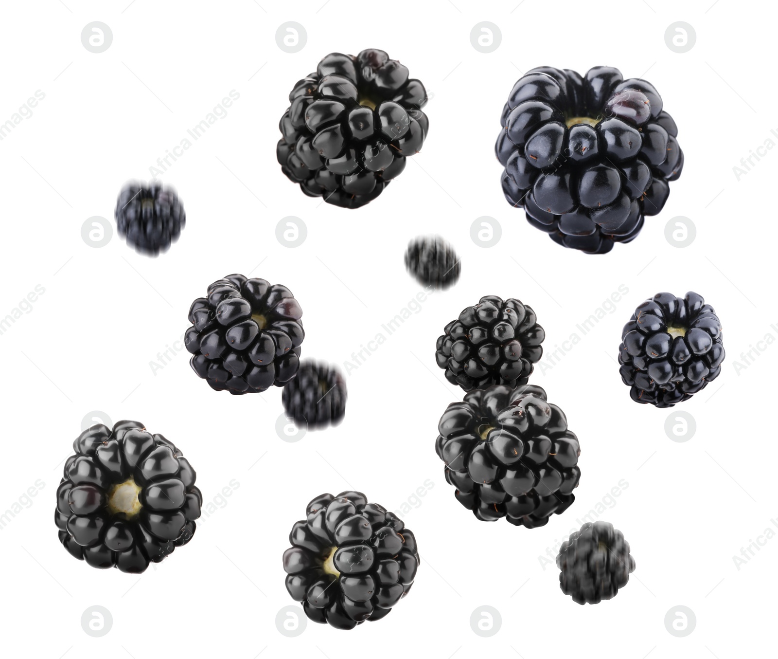 Delicious ripe blackberries flying on white background, closeup Image of Delicious ripe blackberries flying on white background, closeup