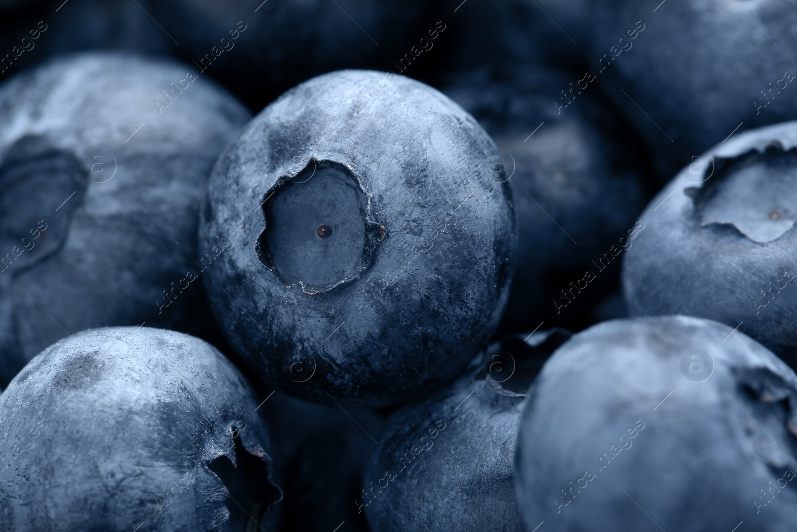 Photo of Tasty fresh ripe blueberries as background, closeup