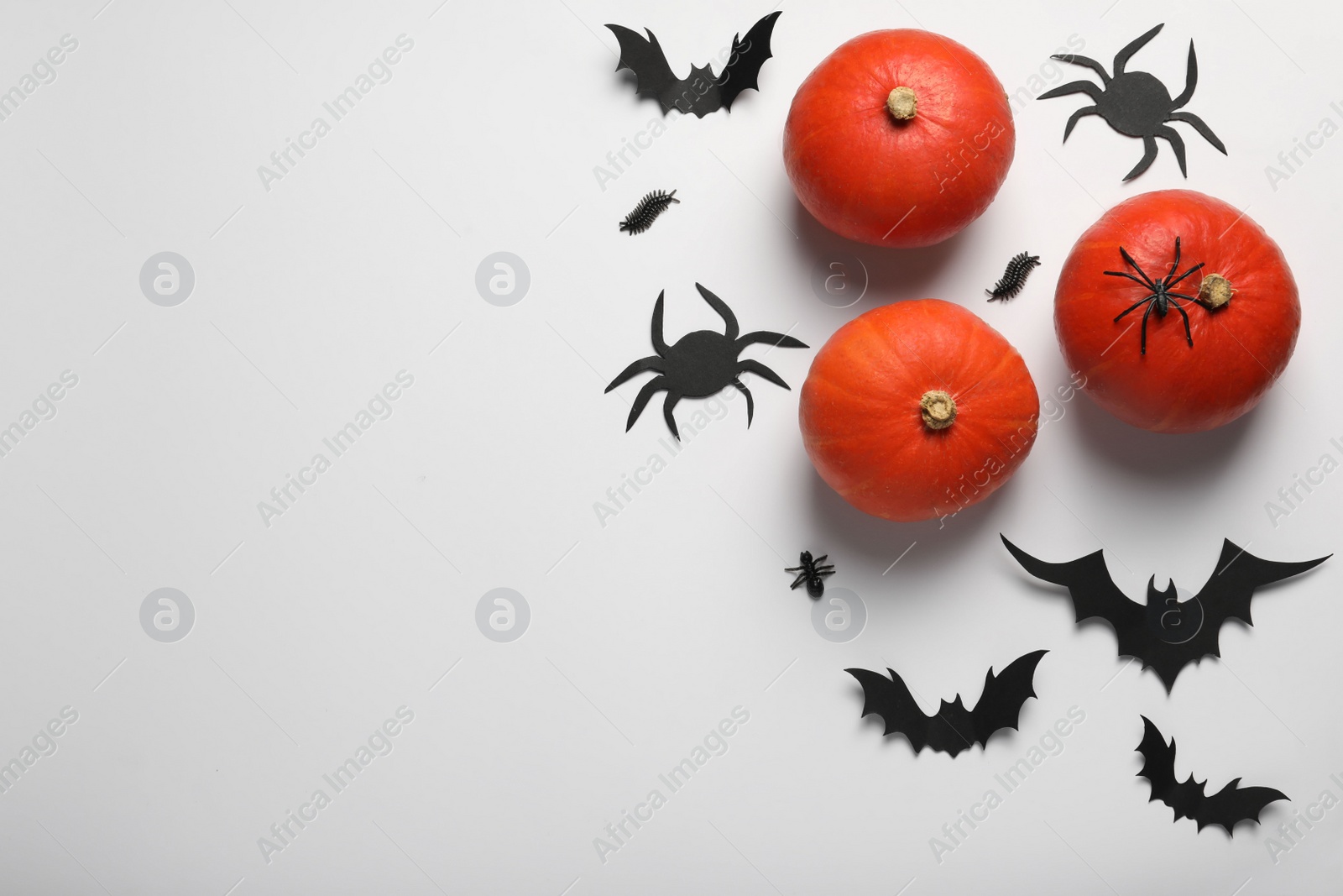 Photo of Flat lay composition with pumpkins, paper bats and spiders on white background, space for text. Halloween celebration