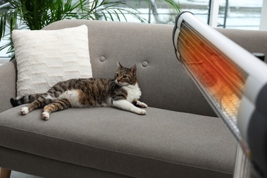 Photo of Cute cat on sofa near modern electric infrared heater indoors