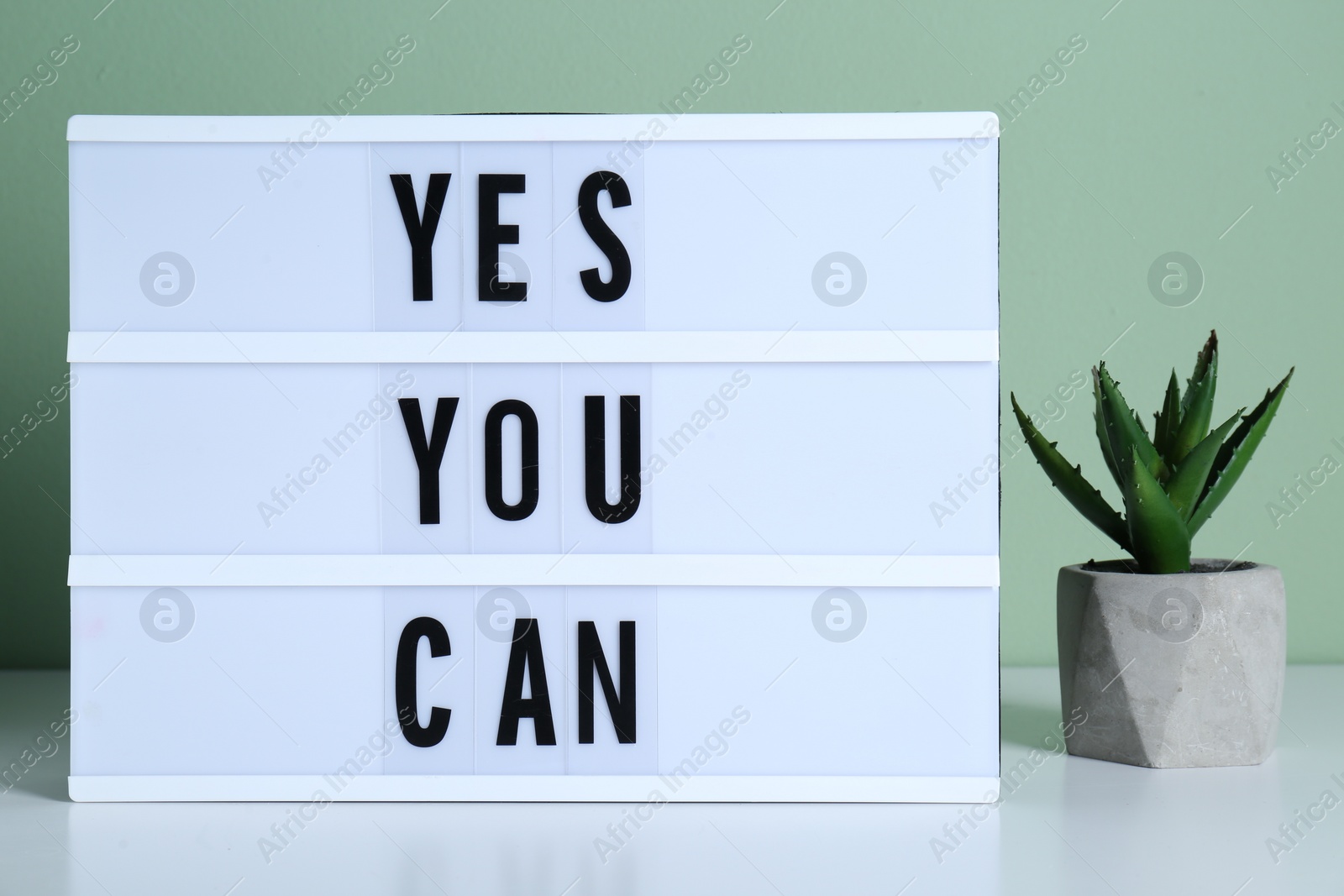 Photo of Lightbox with phrase Yes You Can and potted houseplant on table against light green background. Motivational quote