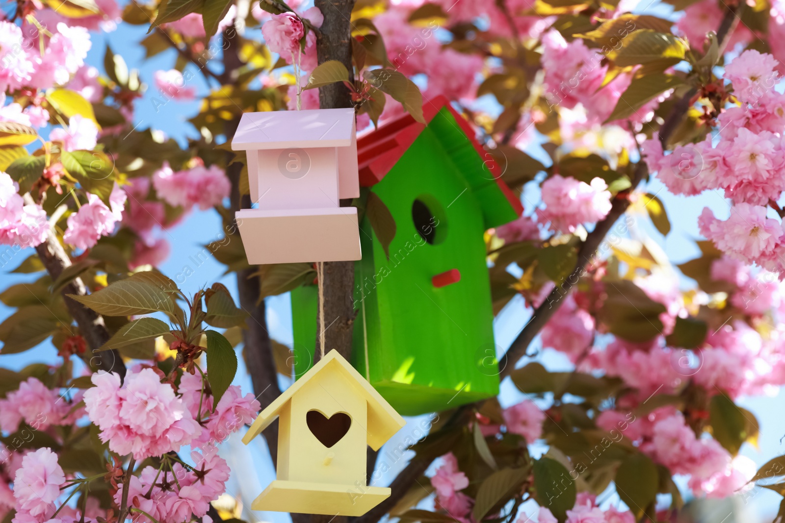 Photo of Different bird houses on tree branches outdoors