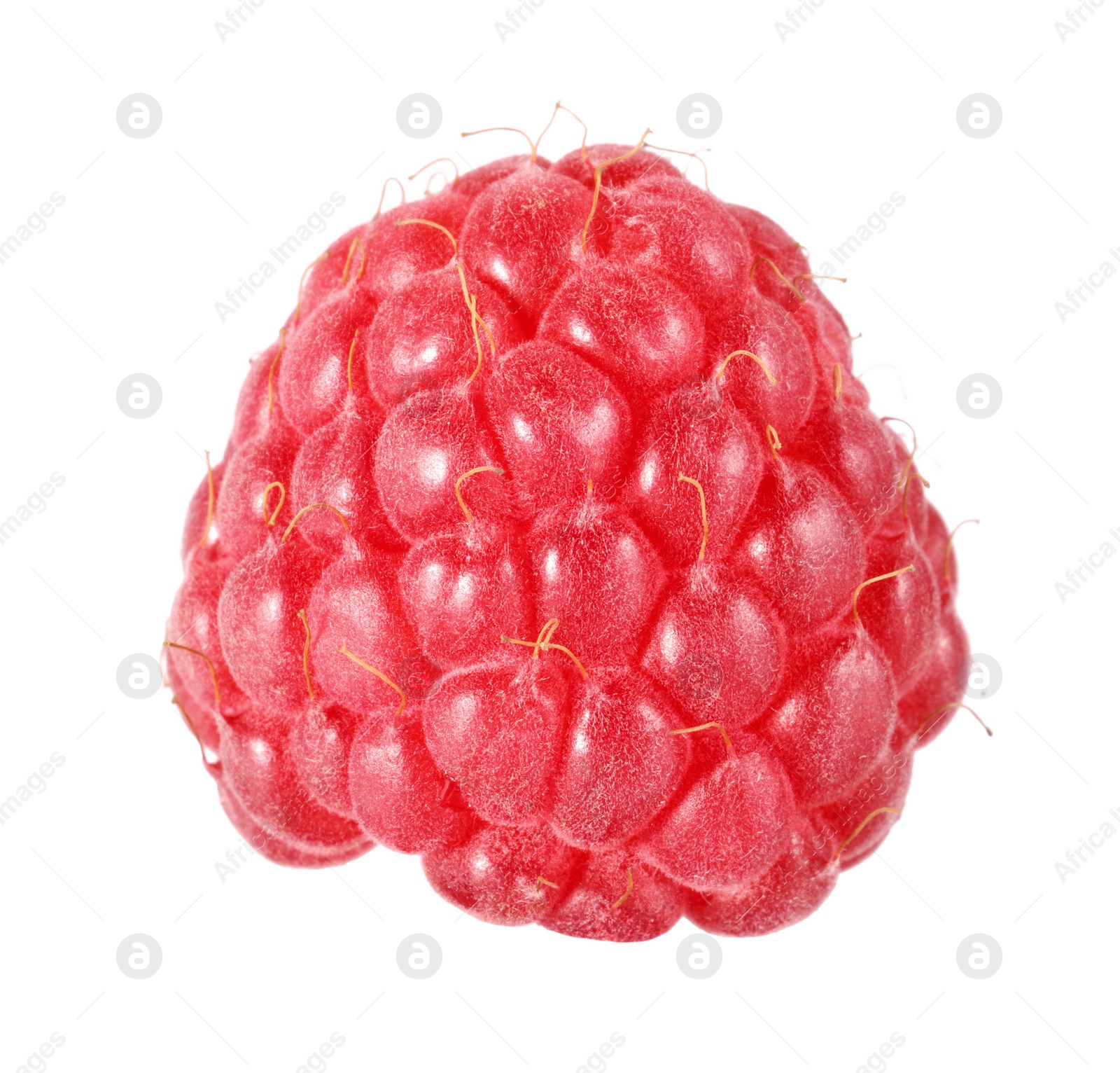 Photo of One tasty ripe raspberry isolated on white