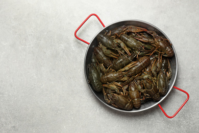 Photo of Fresh raw crayfishes on grey table, top view. Space for text