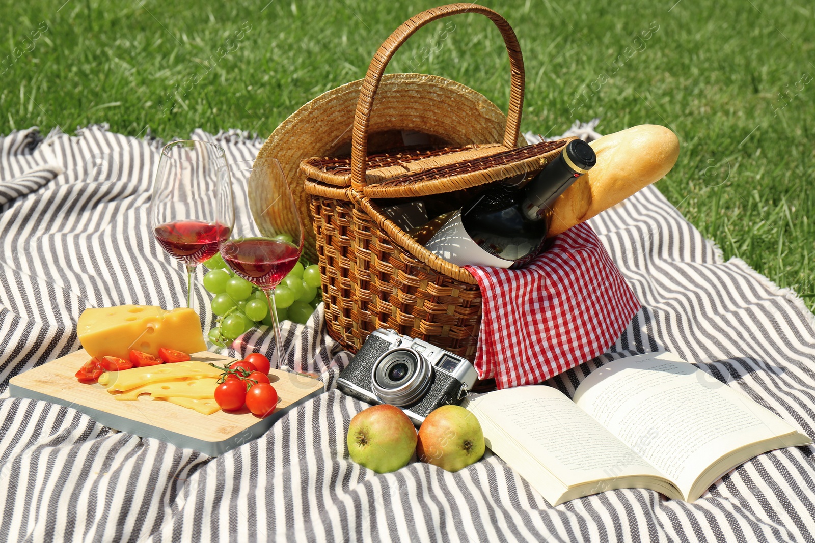 Photo of Basket with food and book on blanket in park. Summer picnic