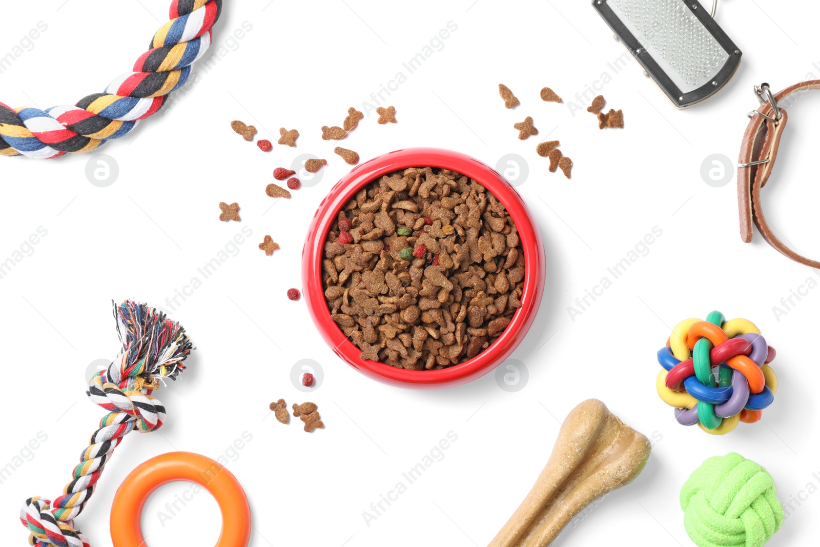 Photo of Bowl with food for dog and accessories on white background. Pet care